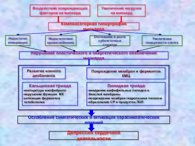 Воздействие повреждающих факторов на миокард Увеличение нагрузки на миокард Компенсаторная гипертрофия