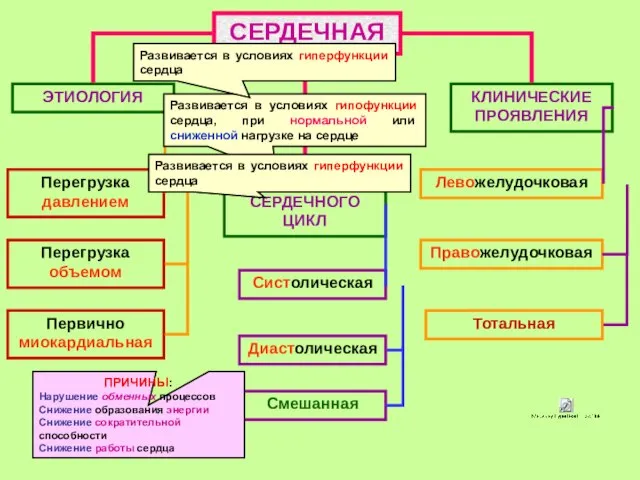 СЕРДЕЧНАЯ ЭТИОЛОГИЯ НАРУШЕНИЯ СЕРДЕЧНОГО ЦИКЛ КЛИНИЧЕСКИЕ ПРОЯВЛЕНИЯ Перегрузка давлением Перегрузка объемом