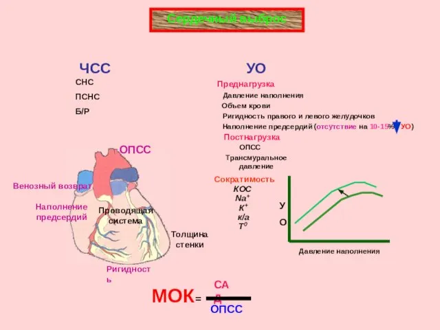 ЧСС УО Сердечный выброс СНС ПСНС Б/Р Преднагрузка Давление наполнения Объем