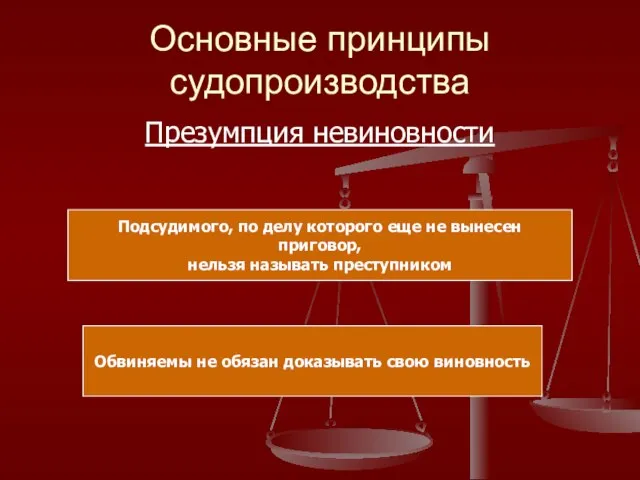 Основные принципы судопроизводства Презумпция невиновности Обвиняемы не обязан доказывать свою виновность