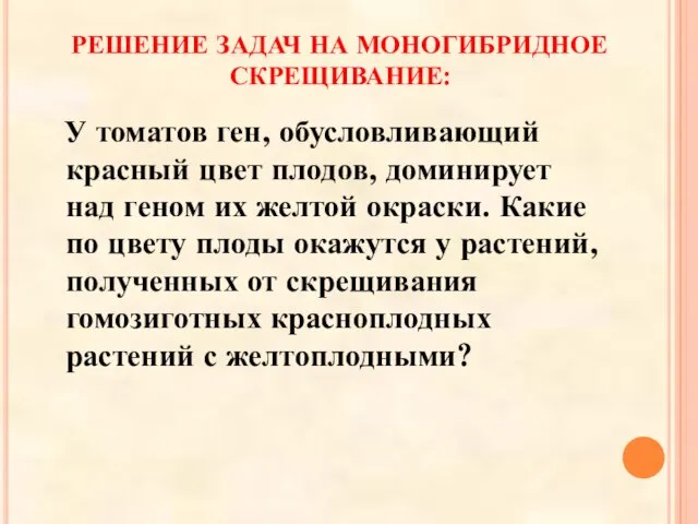 РЕШЕНИЕ ЗАДАЧ НА МОНОГИБРИДНОЕ СКРЕЩИВАНИЕ: У томатов ген, обусловливающий красный цвет