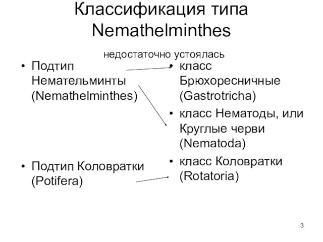 Классификация типа Nemathelminthes недостаточно устоялась Подтип Немательминты (Nemathelminthes) Подтип Коловратки (Potifera)