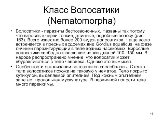 Класс Волосатики (Nematomorpha) Волосатики - паразиты беспозвоночных. Названы так потому, что