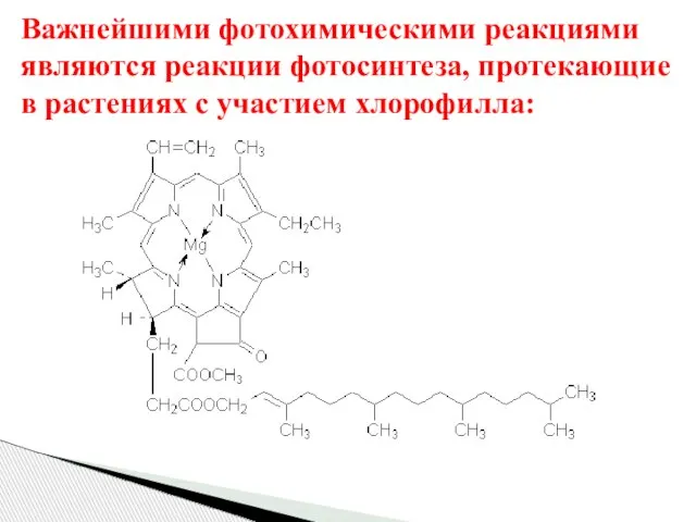 Важнейшими фотохимическими реакциями являются реакции фотосинтеза, протекающие в растениях с участием хлорофилла: