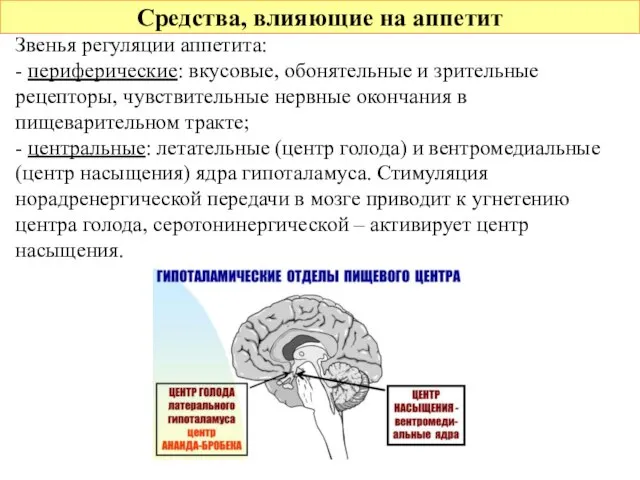 Средства, влияющие на аппетит Звенья регуляции аппетита: - периферические: вкусовые, обонятельные