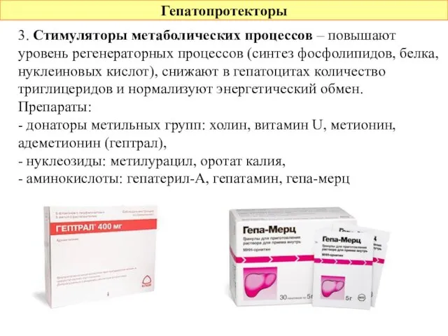 Гепатопротекторы 3. Стимуляторы метаболических процессов – повышают уровень регенераторных процессов (синтез