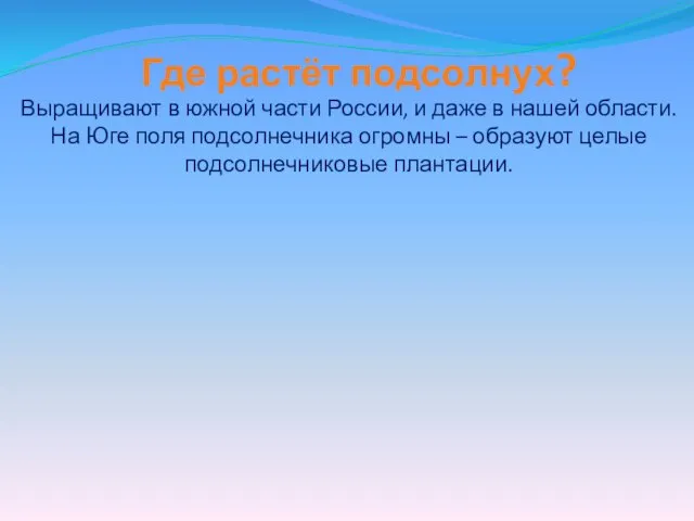 Где растёт подсолнух? Выращивают в южной части России, и даже в