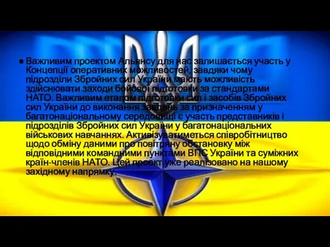 Важливим проектом Альянсу для нас залишається участь у Концепції оперативних можливостей,