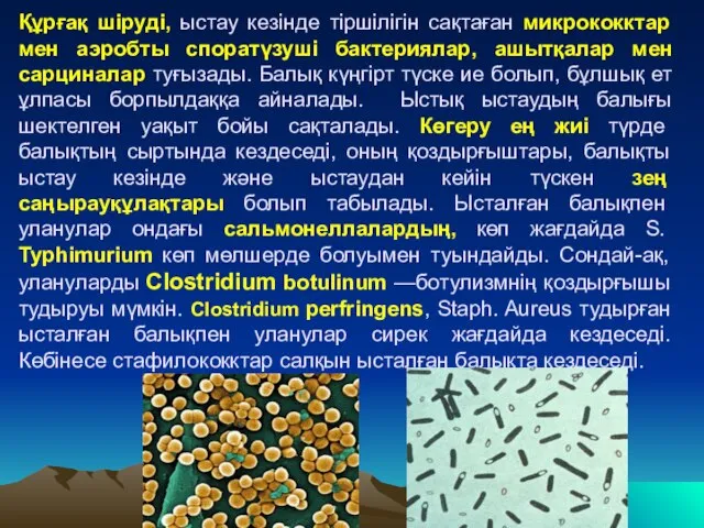 Құрғақ шіруді, ыстау кезінде тіршілігін сақтаған микрококктар мен аэробты споратүзуші бактериялар,