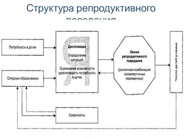 Структура репродуктивного поведения