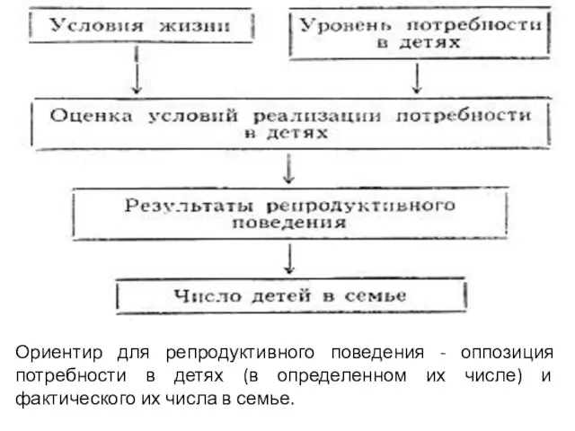 Ориентир для репродуктивного поведения - оппозиция потребности в детях (в определенном