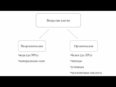 Вещества клетки вода (до 90%) минеральные соли белки (до 20%) липиды углеводы нуклеиновые кислоты