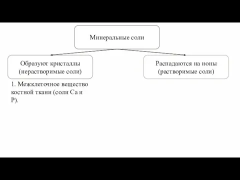 Минеральные соли 1. Межклеточное вещество костной ткани (соли Ca и P).