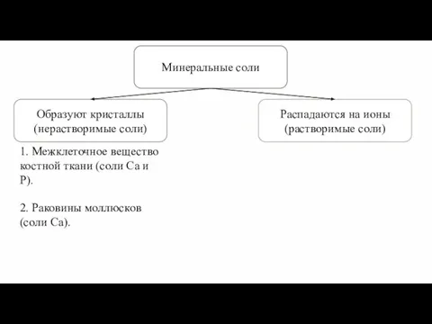 Минеральные соли 1. Межклеточное вещество костной ткани (соли Ca и P). 2. Раковины моллюсков (соли Ca).