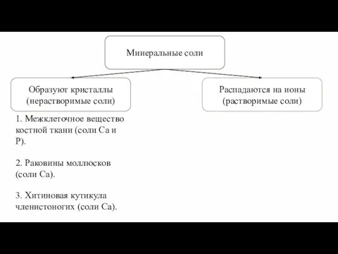 Минеральные соли 1. Межклеточное вещество костной ткани (соли Ca и P).