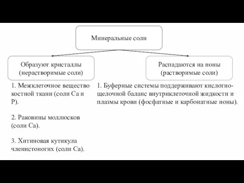 Минеральные соли 1. Межклеточное вещество костной ткани (соли Ca и P).