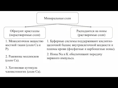 Минеральные соли 1. Межклеточное вещество костной ткани (соли Ca и P).