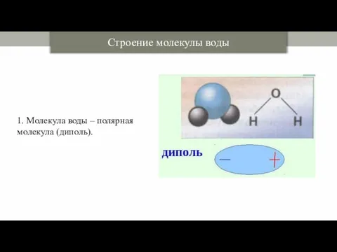 Строение молекулы воды 1. Молекула воды – полярная молекула (диполь).