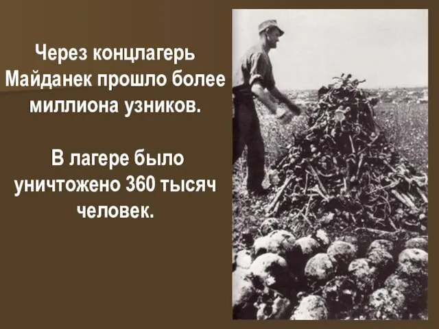 Через концлагерь Майданек прошло более миллиона узников. В лагере было уничтожено 360 тысяч человек.