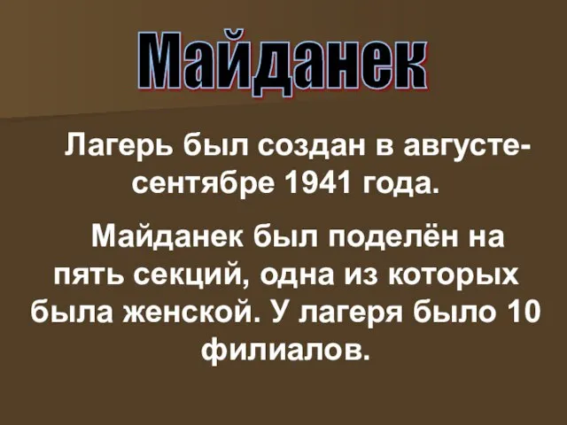 Лагерь был создан в августе-сентябре 1941 года. Майданек был поделён на