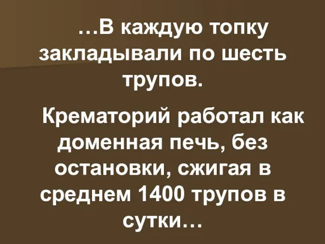 …В каждую топку закладывали по шесть трупов. Крематорий работал как доменная