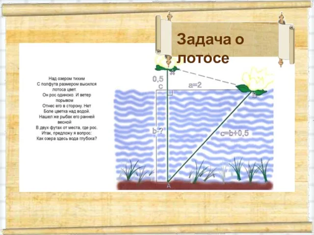 Задача о лотосе