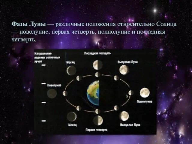 Фазы Луны — различные положения относительно Солнца — новолуние, первая четверть, полнолуние и последняя четверть.