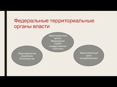 Федеральные территориальные органы власти Территориальное управление Росимущества Территориальные органы Федеральной службы государственной статистики Территориальный орган росздравнадзора