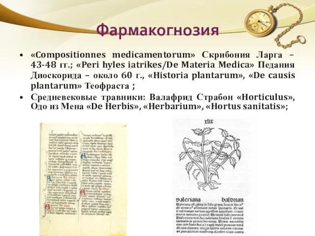 Фармакогнозия «Compositionnes medicamentorum» Скрибония Ларга – 43-48 гг.; «Peri hyles iatrikes/De