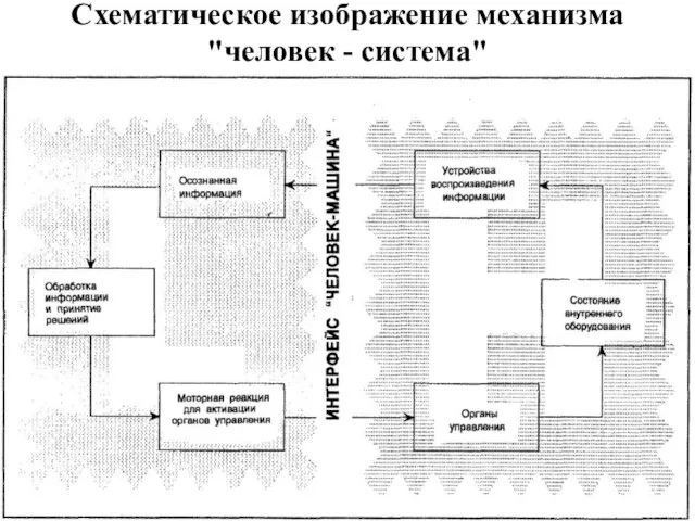 Схематическое изображение механизма "человек - система"