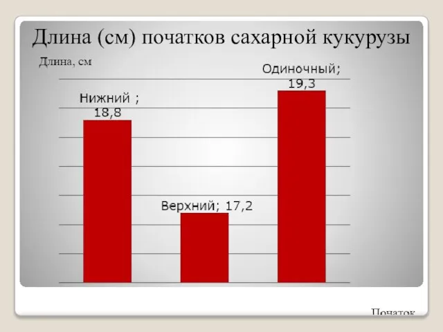 Длина (см) початков сахарной кукурузы