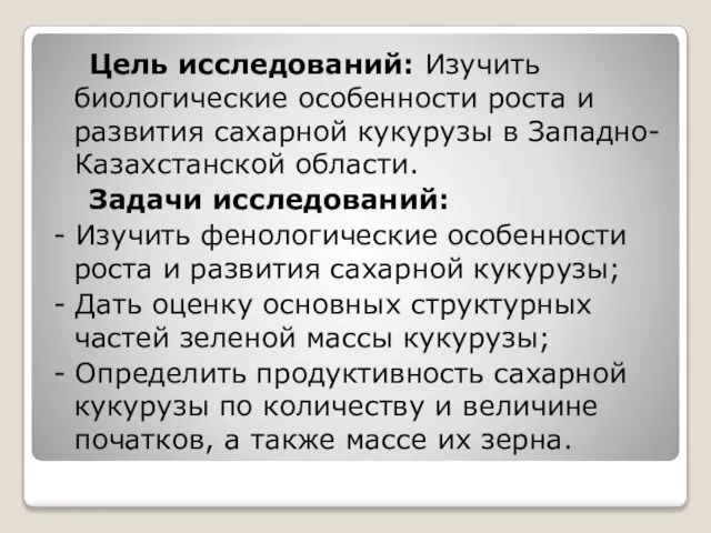 Цель исследований: Изучить биологические особенности роста и развития сахарной кукурузы в