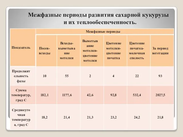 Межфазные периоды развития сахарной кукурузы и их теплообеспеченность.