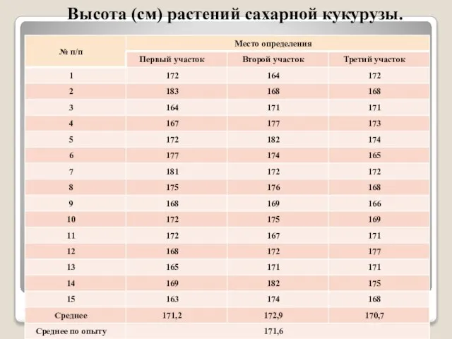 Высота (см) растений сахарной кукурузы.