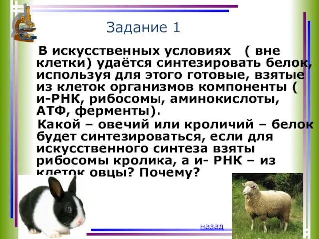 Задание 1 В искусственных условиях ( вне клетки) удаётся синтезировать белок,