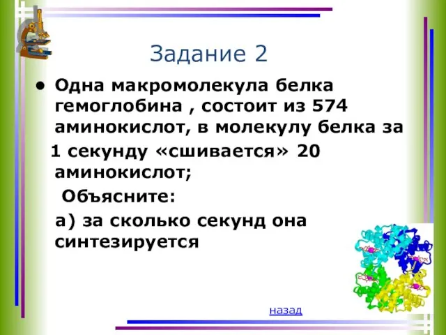 Задание 2 Одна макромолекула белка гемоглобина , состоит из 574 аминокислот,