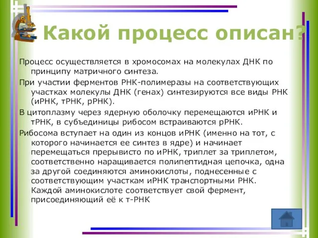 Процесс осуществляется в хромосомах на молекулах ДНК по принципу матричного синтеза.