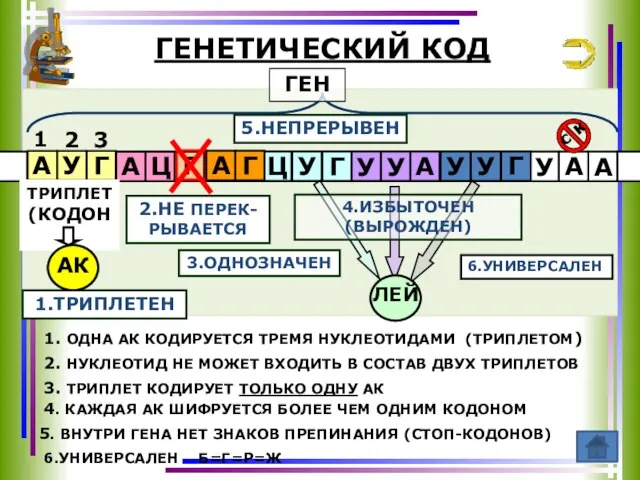 ГЕНЕТИЧЕСКИЙ КОД 1 2 3 ТРИПЛЕТ (КОДОН) 1.ТРИПЛЕТЕН 2.НЕ ПЕРЕК-РЫВАЕТСЯ АК