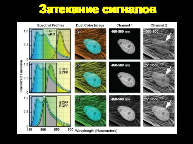 Затекание сигналов