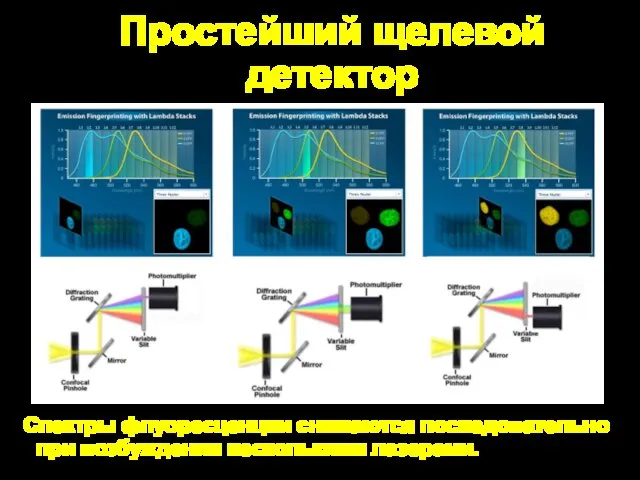 Простейший щелевой детектор Спектры флуоресценции снимаются последовательно при возбуждении несколькими лазерами.