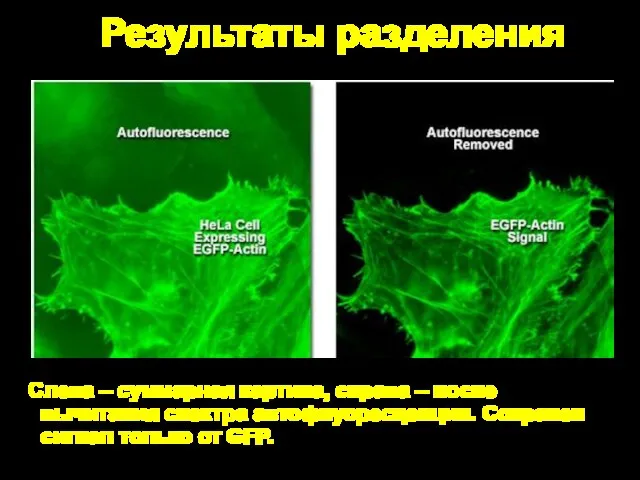 Результаты разделения Слева – суммарная картина, справа – после вычитания спектра