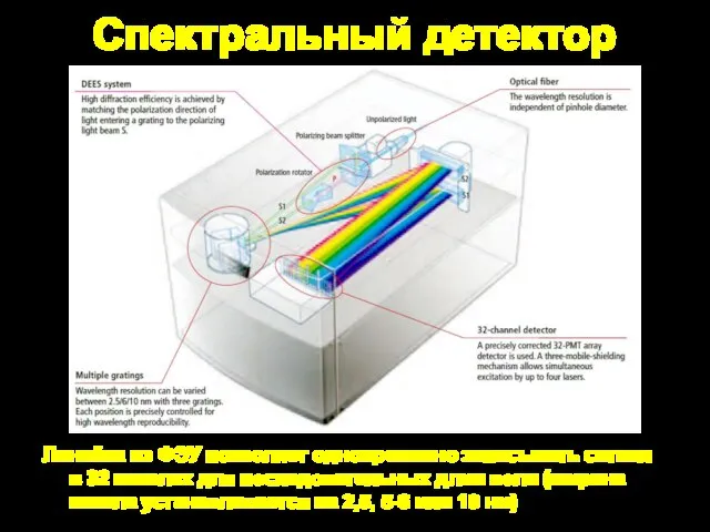 Спектральный детектор Линейка из ФЭУ позволяет одновременно записывать сигнал в 32