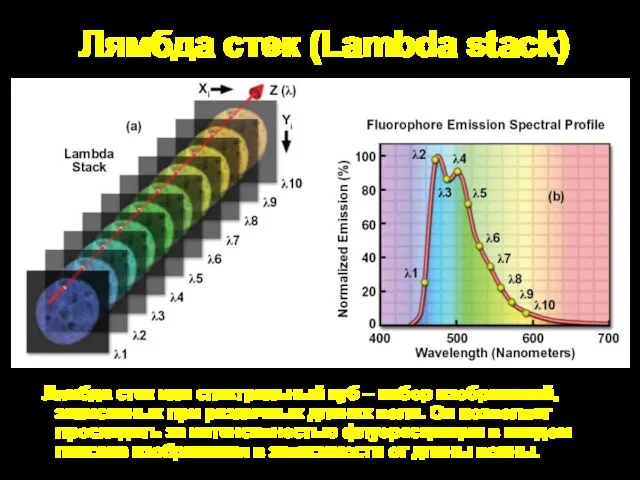 Лямбда стек (Lambda stack) Лямбда стек или спектральный куб – набор