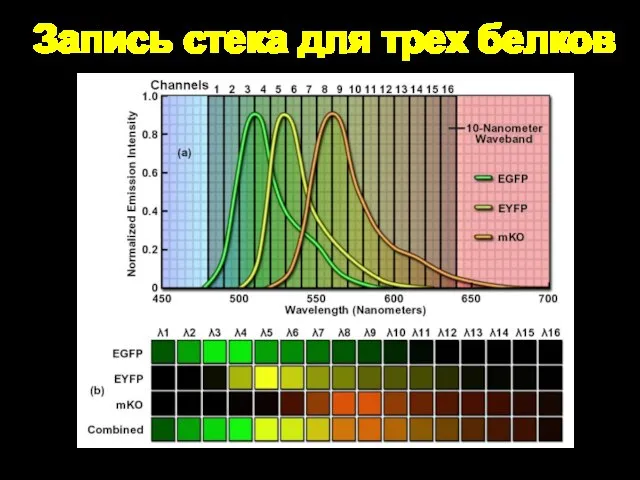 Запись стека для трех белков