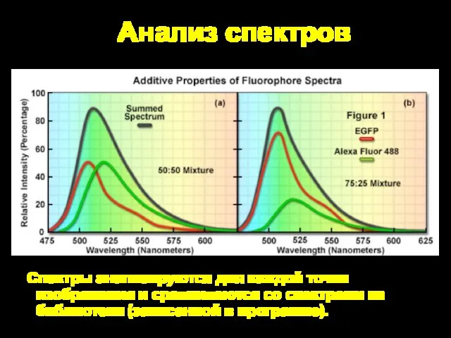 Анализ спектров Спектры анализируются для каждой точки изображения и сравниваются со