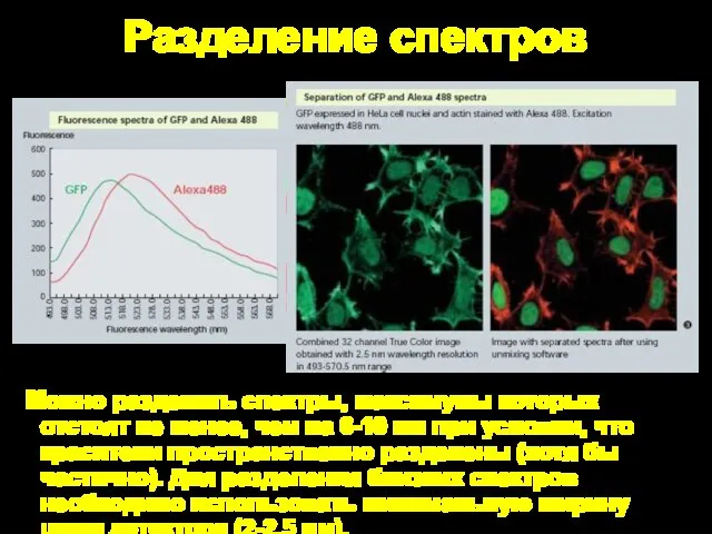 Разделение спектров Можно разделить спектры, максимумы которых отстоят не менее, чем