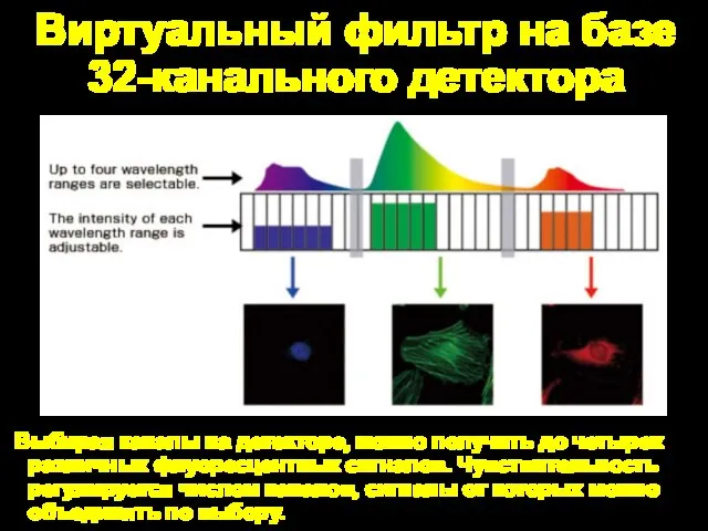 Виртуальный фильтр на базе 32-канального детектора Выбирая каналы на детекторе, можно