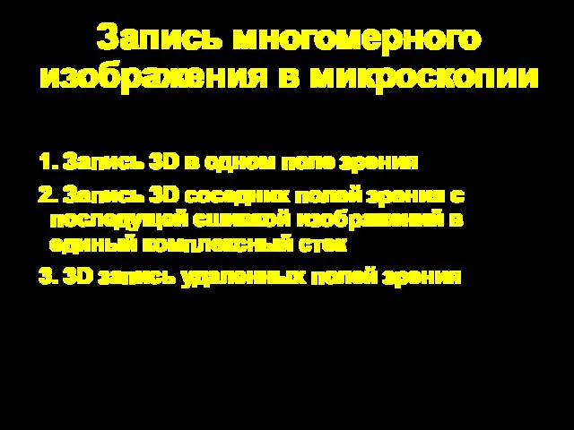 Запись многомерного изображения в микроскопии 1. Запись 3D в одном поле