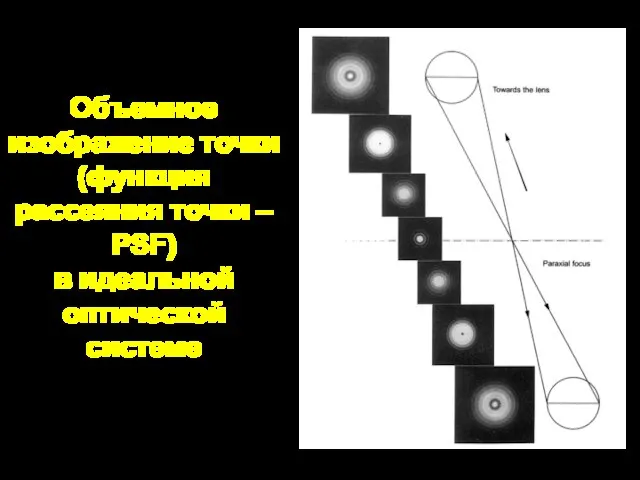 Объемное изображение точки (функция рассеяния точки – PSF) в идеальной оптической системе