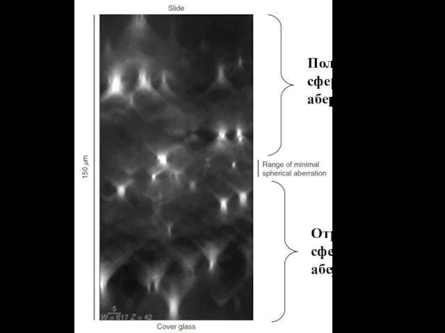 Положительная сферическая аберрация Отрицательная сферическая аберрация